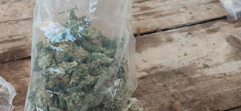 marihuana20220114.jpg