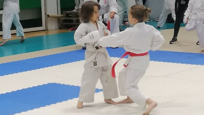 karate210509a.jpg